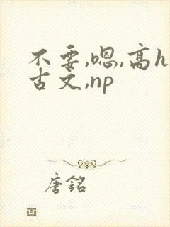 不要,嗯,高h古文,np