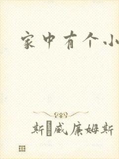 家中有个小姨子
