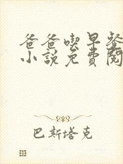 爸爸吃早餐了苏小说免费阅读