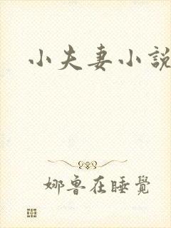 小夫妻小说封面