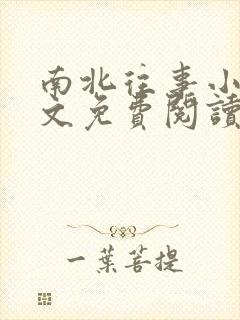 南北往事小说全文免费阅读无弹窗