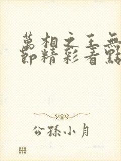 万相之王无相章节精彩看点