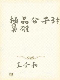 极品公子3续世枭雄