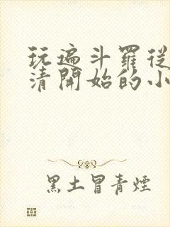 玩遍斗罗从朱竹清开始的小说