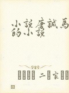 小说唐诚马玉婷的小说