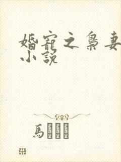 婚宠之枭妻霸爱小说