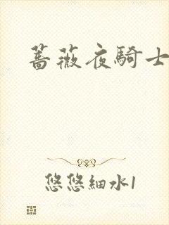 蔷薇夜骑士封面