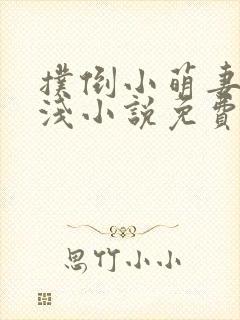 扑倒小萌妻顾浅浅小说免费阅读封面