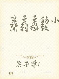 宁柔柔的小泬撑开到极致