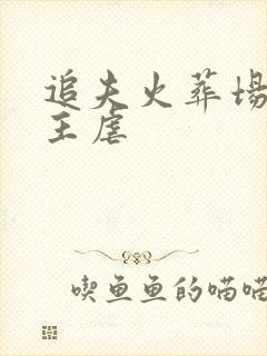 追夫火葬场双男主虐封面