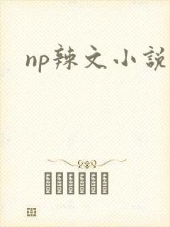 np辣文小说