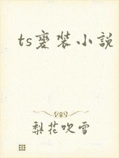 ts变装小说