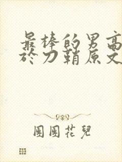 最棒的男高中生于刀鞘原文阅读