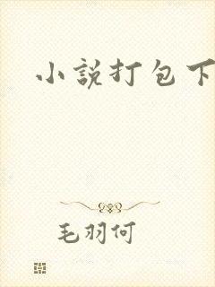 小说打包下载