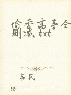 偷香高手全文无删减 txt