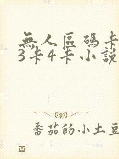 无人区码卡二卡3卡4卡小说