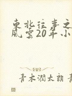 东北往事之黑道风云20年小说