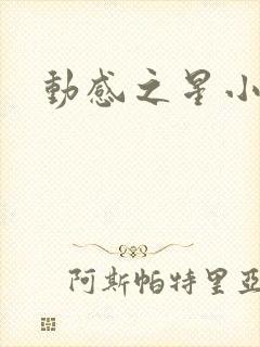 动感之星小蝶封面