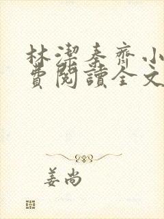 林洁秦齐小说免费阅读全文最新章节封面