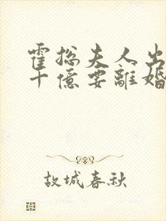 霍总夫人出价一千亿要离婚小说