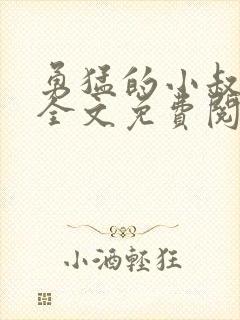 勇猛的小叔小说全文免费阅读
