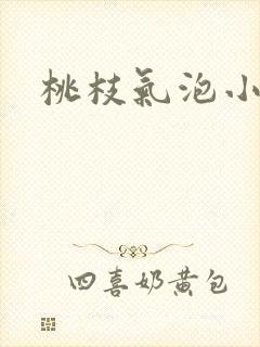 桃枝气泡小说