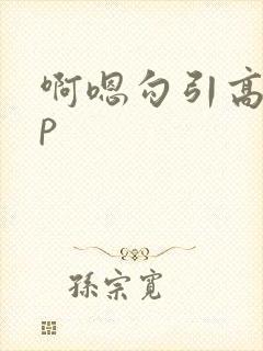 啊嗯勾引高hnp