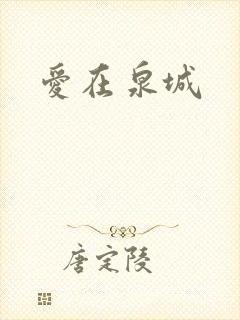 爱在泉城封面