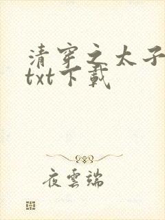清穿之太子娇妃txt下载