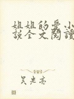 姐姐的爱小帆小说全文阅读
