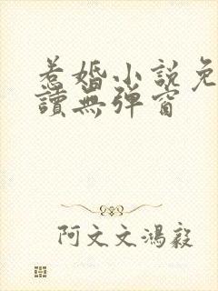 惹婚小说免费阅读无弹窗