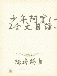 少年阿宾1～72全文目录小说