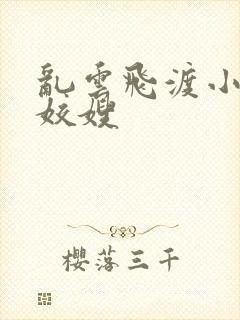 乱云飞渡小说之姣嫂