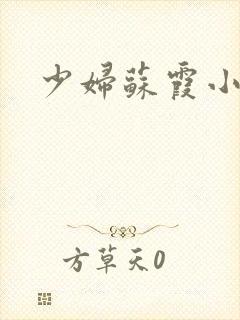 少妇苏霞小说