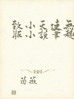 致小天使无删减版小说笔趣阁