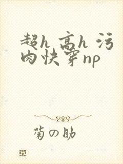 超h 高h 污肉快穿np