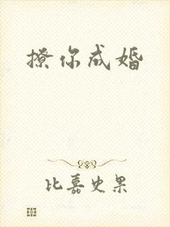 撩你成婚封面