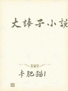 大棒子小说