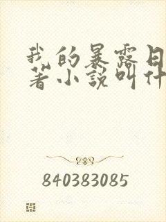 我的暴露日记原著小说叫什么
