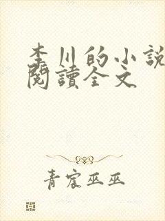 李川的小说免费阅读全文封面