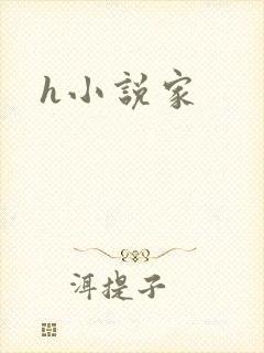 h小说家