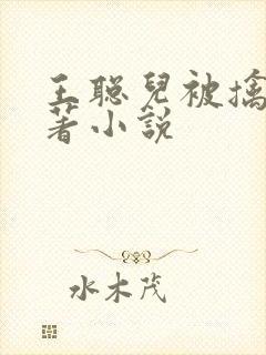 王聪儿被擒记原著小说封面