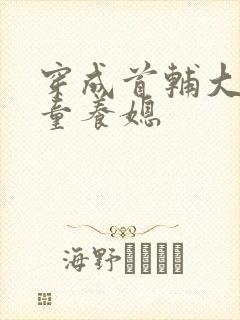 穿成首辅大人的童养媳封面