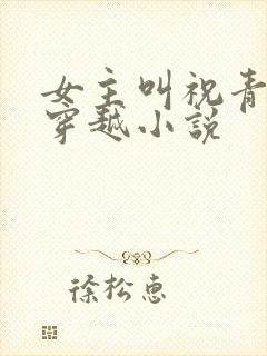 女主叫祝青苑的穿越小说