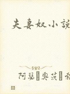 夫妻奴小说封面