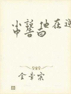 小说 他在逆光中告白