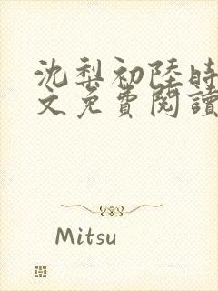 沈梨初陆时霁全文免费阅读最新章节封面