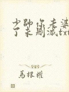 少帅你老婆又跑了未删减txt下载封面