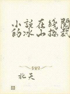 小说在线阅读我的冰山总裁老婆