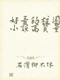 好看的校园言情小说高质量文笔好封面